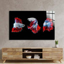 Halfmoon Betta Fish 2 Glass Wall Art - DIY - CreoGlass®