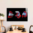 Halfmoon Betta Fish 2 Glass Wall Art - DIY - CreoGlass®