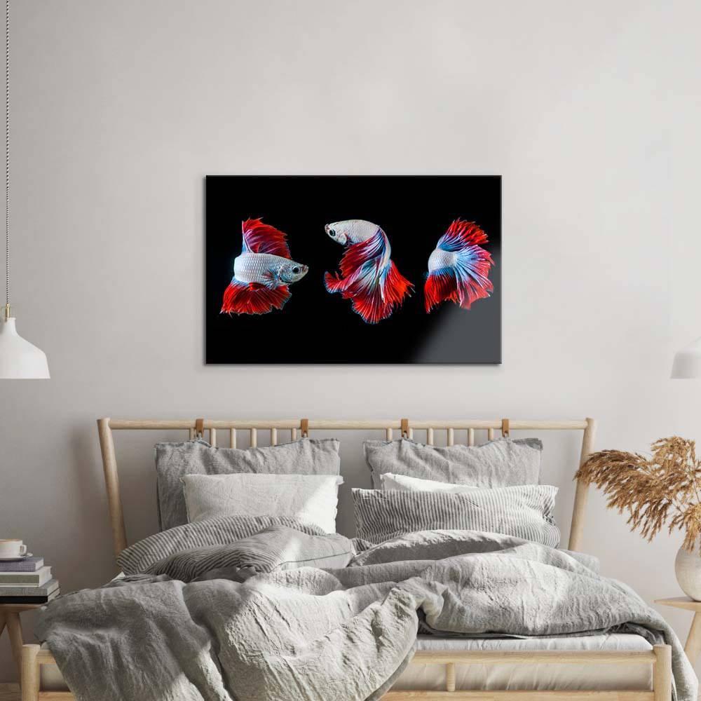 Halfmoon Betta Fish 2 Glass Wall Art - DIY - CreoGlass®