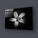 Hawthorn Black and White Glass Wall Art - DIY - CreoGlass®