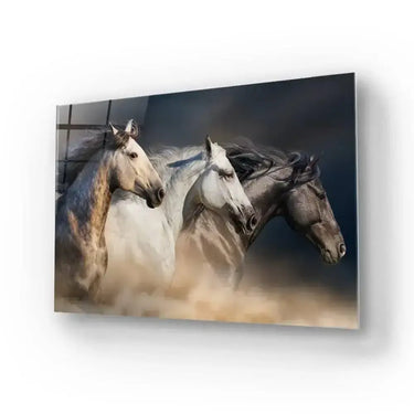Horses With Long Mane Portrait Running In Desert Glass Wall Art - DIY - CreoGlass®
