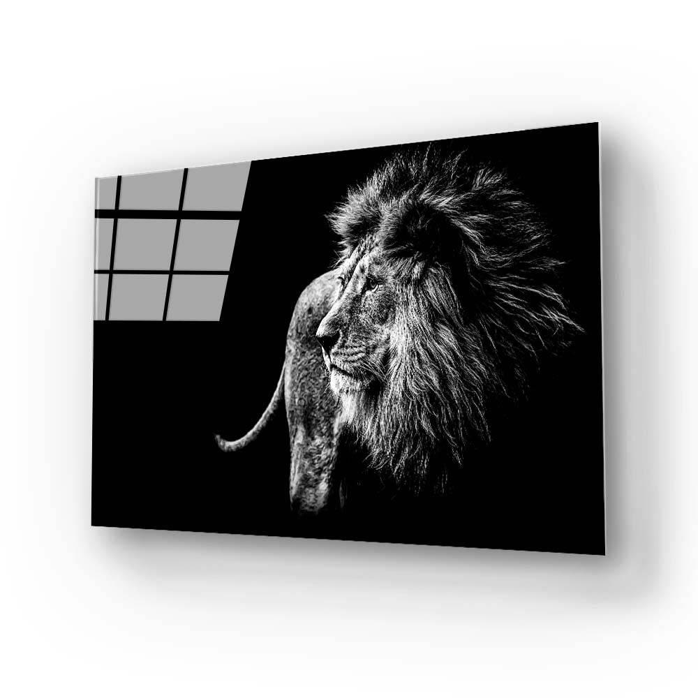 Lion Black and White Photo Glass Wall Art - DIY - CreoGlass®