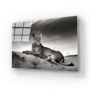 Lioness in the Desert Glass Wall Art - DIY - CreoGlass®