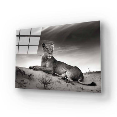 Lioness in the Desert Glass Wall Art - DIY - CreoGlass®