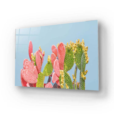 Vibrant cactus print on decorative glass panel, ideal for modern interior design and bespoke wall art.