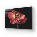 Poppy Glass Wall Art - Landscape Sizes - DIY - CreoGlass®