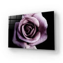 Purple Rose Glass Wall Art - Landscape Sizes - DIY - CreoGlass®