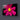 Red Daisy Glass Wall Art - Landscape Sizes - DIY - CreoGlass®