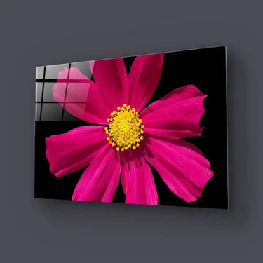 Red Daisy Glass Wall Art - Landscape Sizes - DIY - CreoGlass®