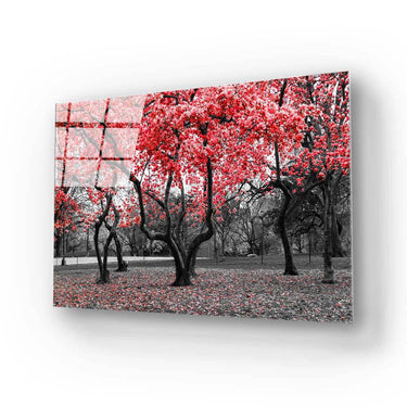 Red Leaves Trees in Park Glass Wall Art - DIY - CreoGlass®