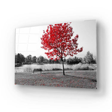 Red Maple Tree Glass Wall Art - DIY - CreoGlass®