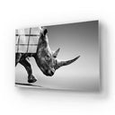 Rhino Black & White Photo Glass Wall Art - DIY - CreoGlass®