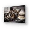 Sleepy Tiger Glass Wall Art - DIY - CreoGlass®