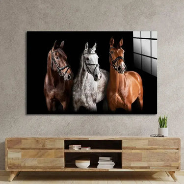 Three Horses With Bridle Against Black Background Glass Wall - DIY - CreoGlass®