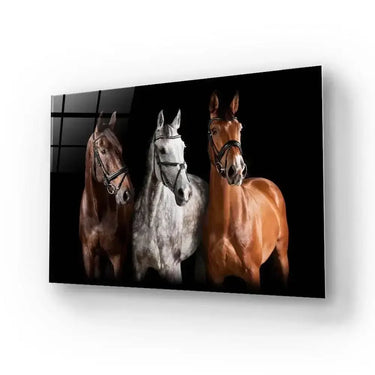 Three Horses With Bridle Against Black Background Glass Wall - DIY - CreoGlass®
