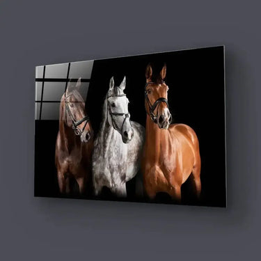 Three Horses With Bridle Against Black Background Glass Wall - DIY - CreoGlass®