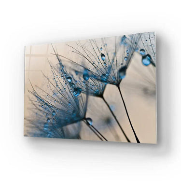 Water Droplets On Dandelion Glass Wall Art - DIY - CreoGlass®
