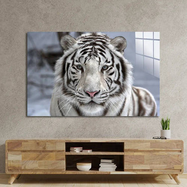White Bengal Tiger Closeup Glass Wall Art - DIY - CreoGlass®