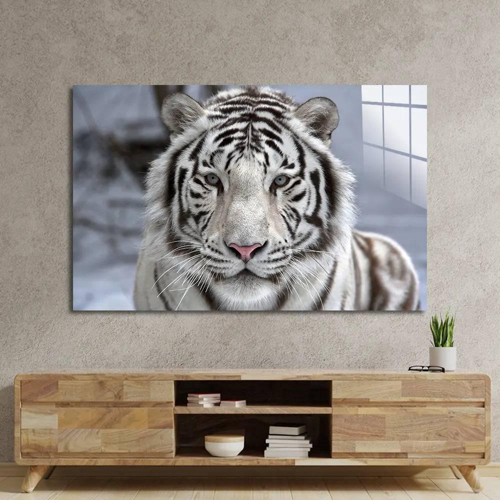 White Bengal Tiger Closeup Glass Wall Art - DIY - CreoGlass®