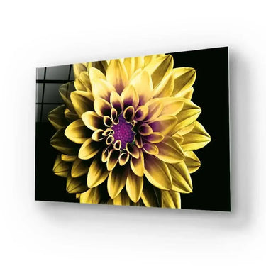 Yellow and Purple Dahlia Glass Wall Art - Landscape Sizes - DIY - CreoGlass®
