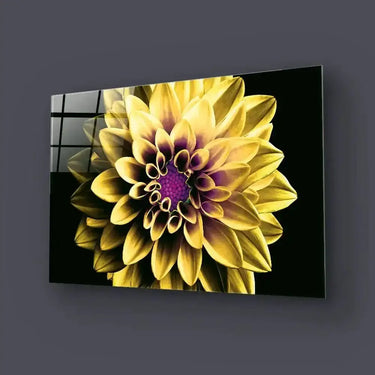 Yellow and Purple Dahlia Glass Wall Art - Landscape Sizes - DIY - CreoGlass®