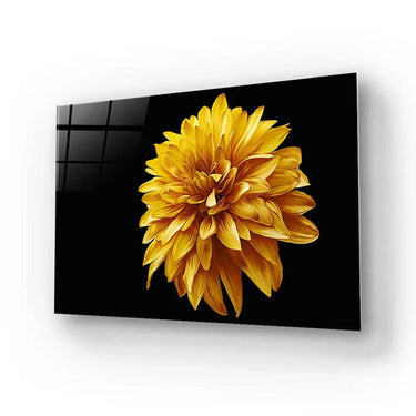 Yellow Chrysanthemum With Black Background Glass Wall Art - DIY - CreoGlass®