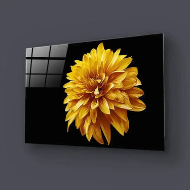 Yellow Chrysanthemum With Black Background Glass Wall Art - DIY - CreoGlass®