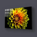 Yellow Dahlia Glass Wall Art - Landscape Sizes - DIY - CreoGlass®