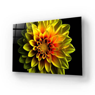Yellow Dahlia Glass Wall Art - Landscape Sizes - DIY - CreoGlass®