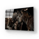 Zebra Family Close Up Black Background Glass Wall Art - DIY - CreoGlass®