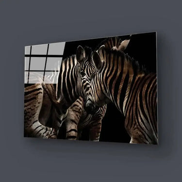 Zebra Family Close Up Black Background Glass Wall Art - DIY - CreoGlass®