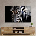 Zebra Spotlight Black Background Glass Wall Art - DIY - CreoGlass®