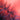 Silhouette of dandelion seeds against vibrant pink backdrop, artistic decorative glass design inspiration