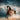 Powerful horse galloping on sandy ground under dramatic cloudy sky