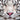 Close-up of a white tiger with blue eyes, detailed fur and pink nose