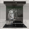 White Tiger in Spotlight Printed Glass Splashback - DIY - CreoGlass®