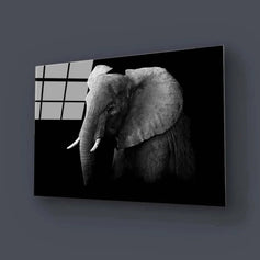 Black & White - Glass Wall Art - CreoGlass®