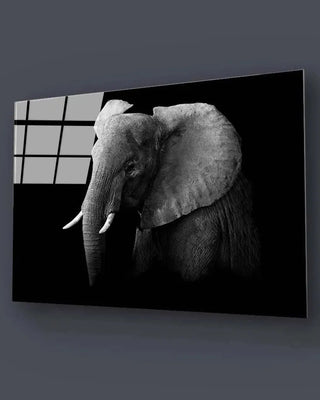Black & White - Glass Wall Art - CreoGlass®