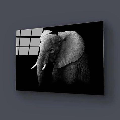 Black & White - Glass Wall Art - CreoGlass®