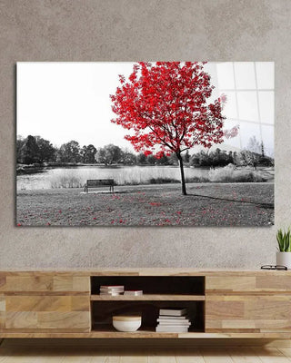 Black & White - Glass Wall Art
