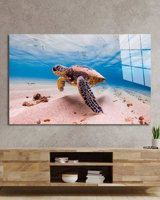 Underwater Printed Wall Art - CreoGlass®