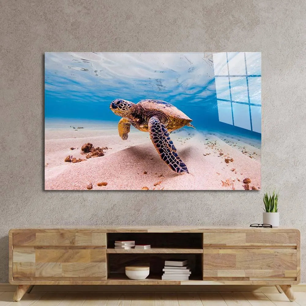 Underwater sea turtle glass wall art for modern living room decor