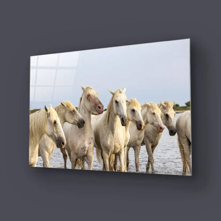 Horses - Glass Wall Art - CreoGlass®