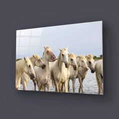Horses - Glass Wall Art - CreoGlass®