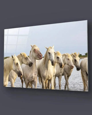 Horses - Glass Wall Art - CreoGlass®