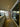 Diamond Cut - Wall Mirror - CreoGlass®