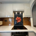 Deep Bronze - Mica Splashback - Bespoke - CreoGlass®