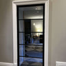 Luxe Grid – Single Hinged Door with Knob and Frame – internal steel and glass door, photo 2