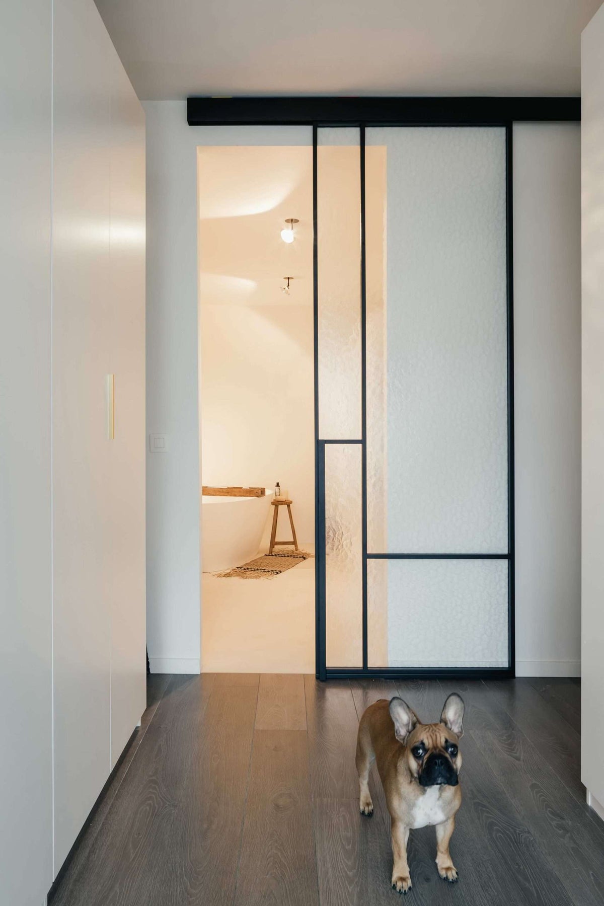 Lumi Frost – Single Sliding Glass Door – internal steel and glass door, photo 1