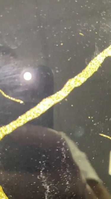 Golden - Black Calacatta Splashback - Bespoke - CreoGlass®